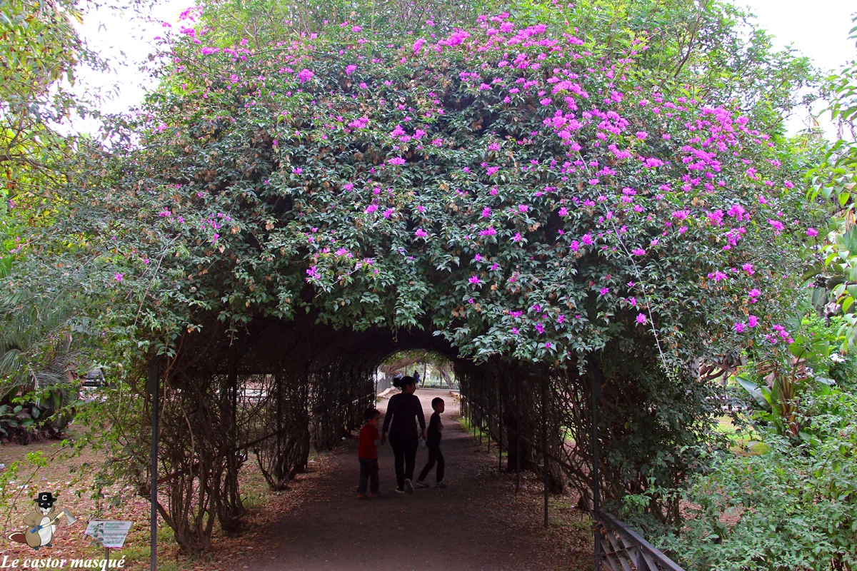 Jardin Nouzhat Hassan - photo 3